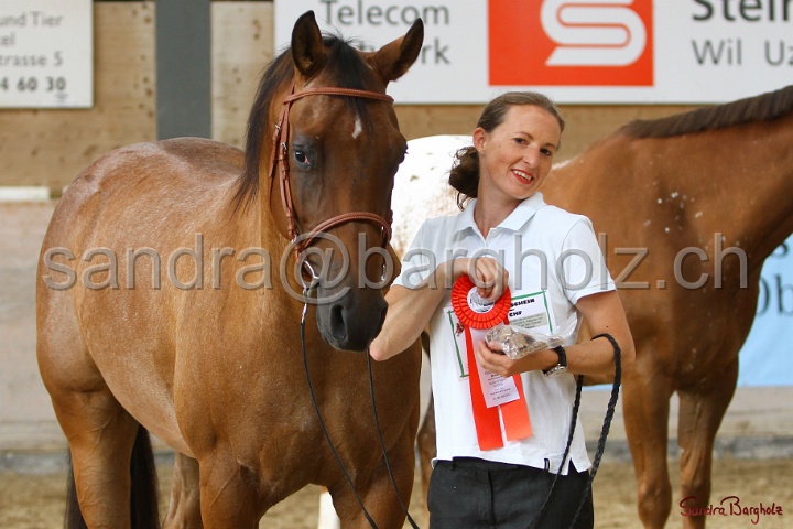 24-ApHC HIH_110.jpg